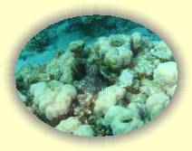 IMG_2007_05_29 16_18_21 * 3072 x 2304 * (1.25MB)